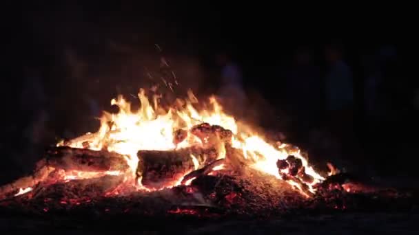 Gece kamp ateşi. — Stok video