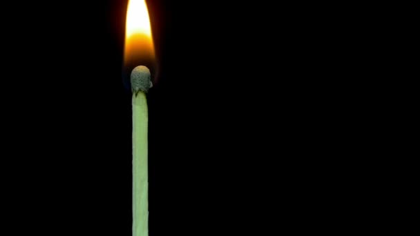 Burning Match And Flame. Moción lenta — Vídeos de Stock