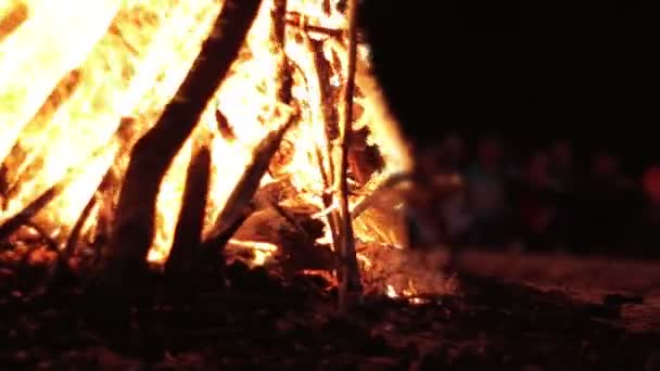 Grand feu de camp des branches Brûler la nuit dans la forêt — Video