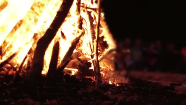 Grand feu de camp des branches Brûler la nuit dans la forêt 