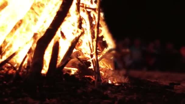 Stora lägerelden från grenar Burn på natten i skogen — Stockvideo