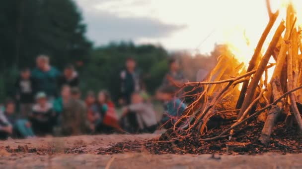 Campfire of the Branches Burn at Night in the Forest on the Background of People — Stock Video