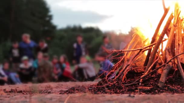 Campfire of the Branches Burn at Night in the Forest sullo sfondo delle persone — Video Stock