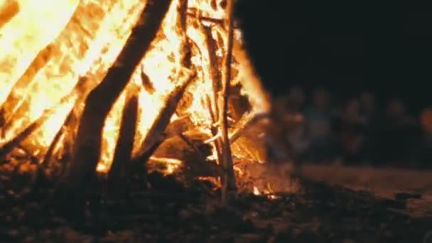 Il fuoco dei rami brucia di notte nella foresta — Video Stock