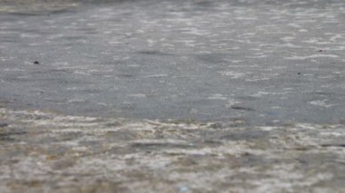 Yağmur damlat su birikintileri üzerinden