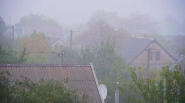 Ağaçlar ve evler sonbahar yağmur sarı bir arka plan üzerinde bırakır