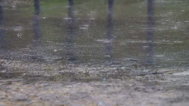 La lluvia gotea a través de los charcos — Vídeo de stock