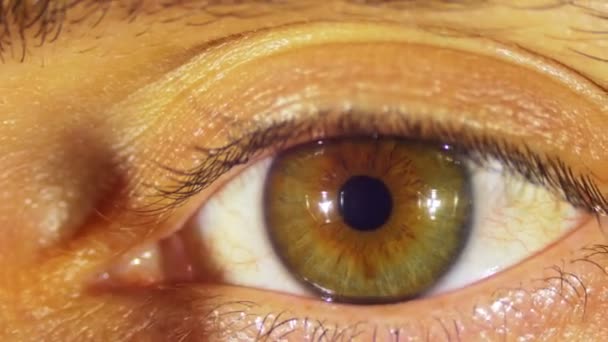 Людське око блимає — стокове відео
