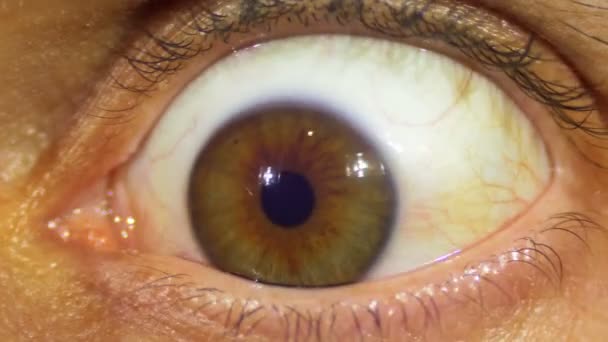 Israeli doctors identify and fix post-vaccine problem for transplanted  corneas | The Times of Israel