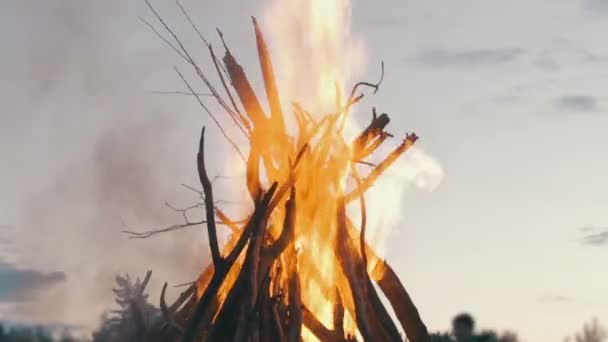 Grote kampvuur uit takken branden 's nachts in het bos — Stockvideo