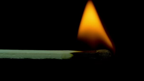 Burning Match And Flame. Moción lenta — Vídeo de stock