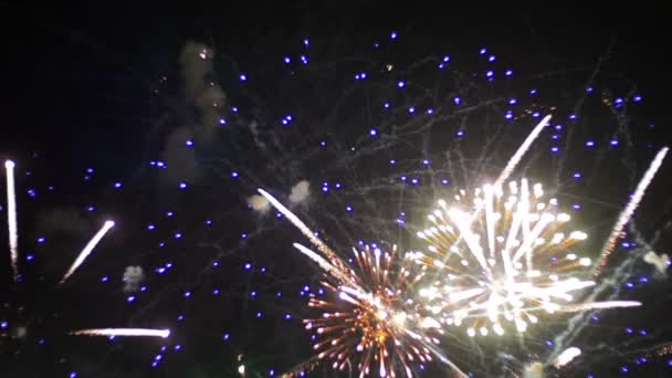 Fuegos artificiales que brillan en el cielo nocturno. Moción lenta — Vídeos de Stock