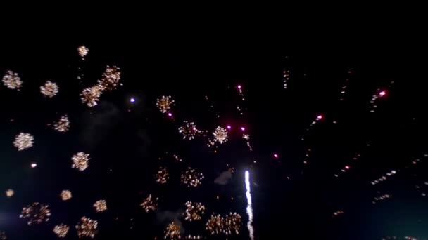 Εορτασμός πυροτεχνημάτων στον ουρανό. Αργή κίνηση — Αρχείο Βίντεο