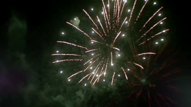 Fuochi d'artificio lampeggianti nel cielo notturno. Rallentatore — Video Stock