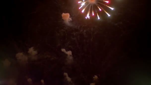 Fogos de artifício Celebração no Céu. Movimento lento — Vídeo de Stock