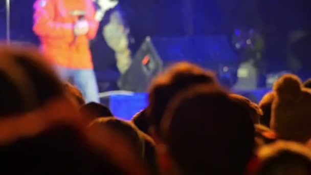 Menigte op rockconcert — Stockvideo