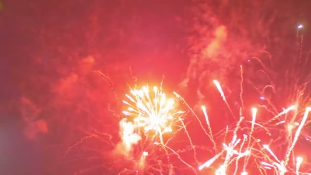 Vuurwerk in de nachtelijke hemel knippert — Stockvideo