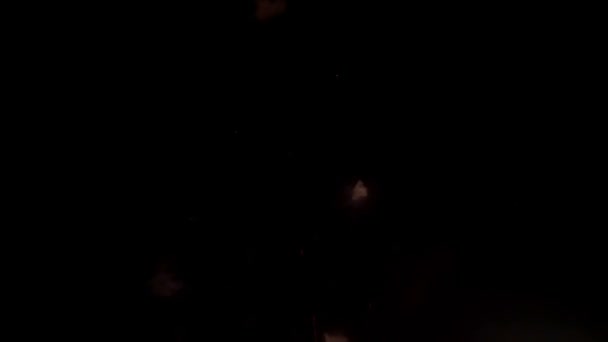 Πυροτεχνήματα λάμποντας στο νυχτερινό ουρανό. Αργή κίνηση — Αρχείο Βίντεο