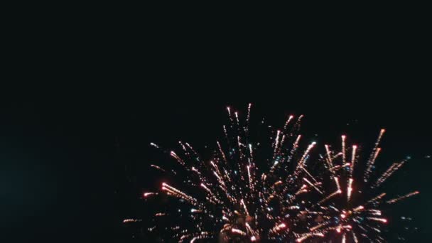 Vuurwerk Celebration in de hemel. Slow Motion — Stockvideo