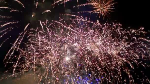 Fuochi d'artificio lampeggianti nel cielo notturno. Rallentatore — Video Stock