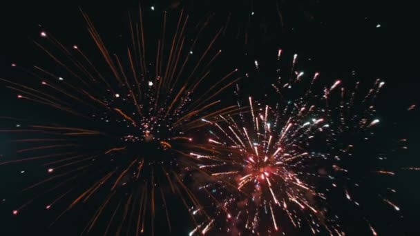 Tűzijáték villog az éjszakai égbolton. Lassú mozgás — Stock videók