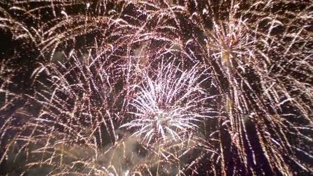 Fuegos artificiales que brillan en el cielo nocturno. Moción lenta — Vídeos de Stock