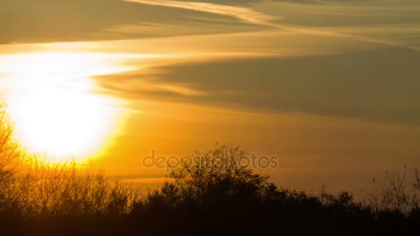 Zonsondergang over de bomen en de wolken — Stockvideo