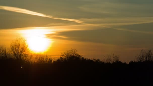 Zonsondergang over de bomen en de wolken — Stockvideo