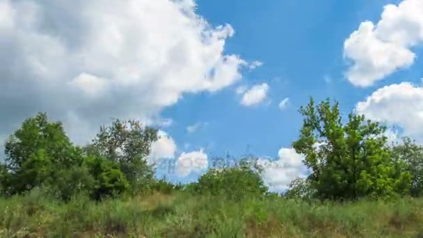 Wolken am Himmel, die sich über den Bäumen bewegen. Zeitraffer — Stockvideo