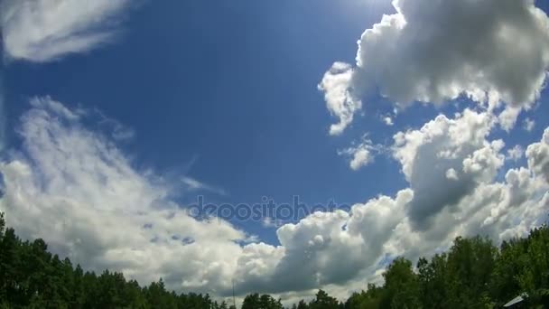 Wolken In de lucht verplaatsen boven de bomen. Time-lapse — Stockvideo