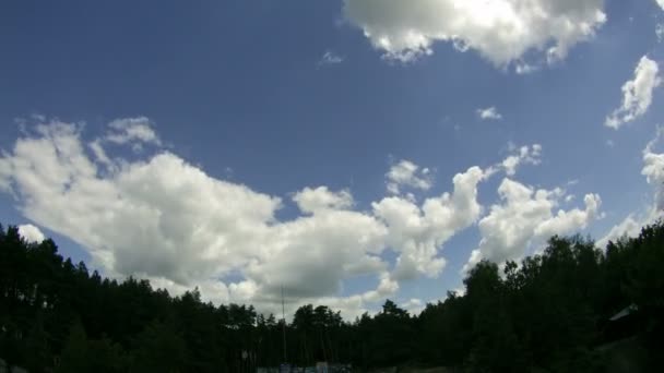 Molnen på himlen rör sig ovanför träden. Tidsfördröjning — Stockvideo