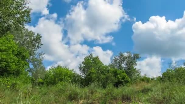 Σύννεφα στον ουρανό κινείται πάνω από τα δέντρα. Πάροδο του χρόνου — Αρχείο Βίντεο