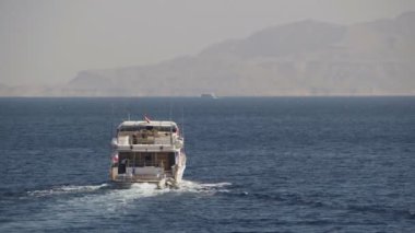 Tekne yüzen Red Sea'deki/daki cruise