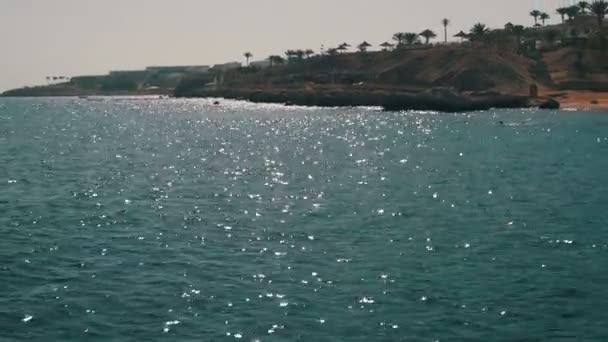Beach Egyiptomban. Resort Vörös-tenger partja — Stock videók