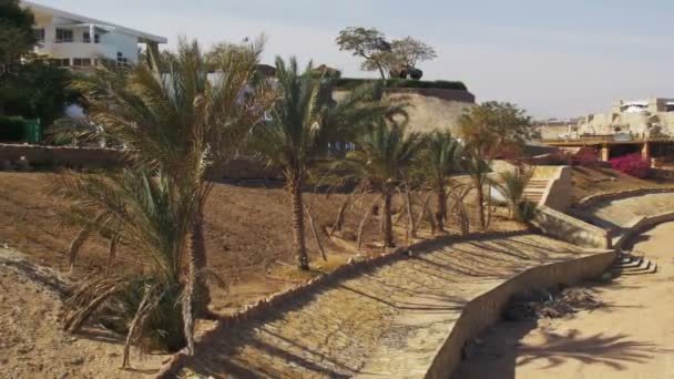 Plage en Egypte avec des palmiers près de l'hôtel sur la plage 