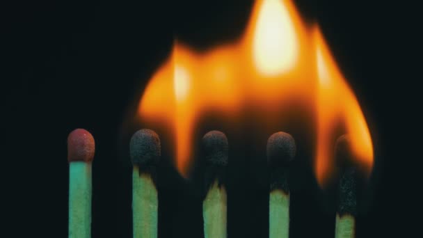 Brennende Streichhölzer, Kettenreaktion und Flamme — Stockvideo