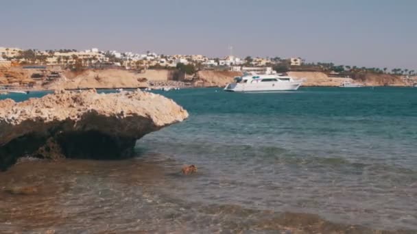 Playa en Egipto. Resort Costa del Mar Rojo — Vídeos de Stock