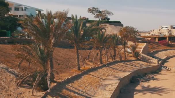 Spiaggia in Egitto con palme vicino all'hotel sulla spiaggia — Video Stock