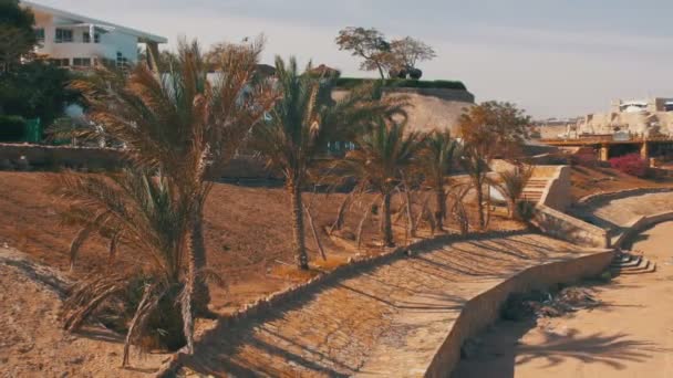 Plage en Egypte avec des palmiers près de l'hôtel sur la plage 