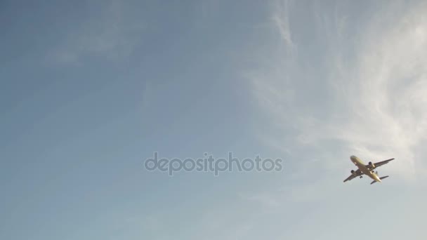 Gran avión de pasajeros volando en el cielo — Vídeos de Stock