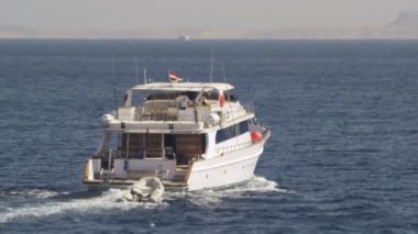 Tekne yüzen Red Sea'deki/daki cruise