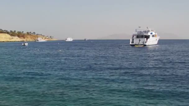 Παραλία στην Αίγυπτο. Το ξενοδοχείο Ακτή Ερυθράς Θάλασσας — Αρχείο Βίντεο
