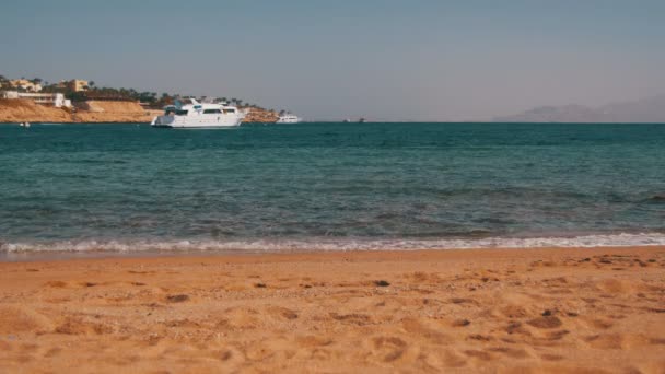 Praia no Egito. Resort Costa do Mar Vermelho — Vídeo de Stock