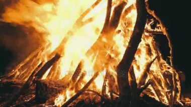 Ormanda geceleri dalları yanmak dan büyük kamp ateşi