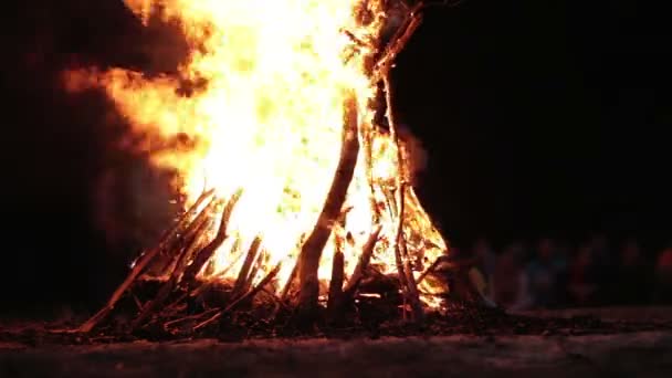 Wielkie ognisko z oddziałów nagrywanie w nocy w lesie — Wideo stockowe