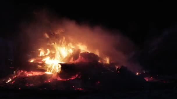 从分支烧伤在晚上在森林里的篝火 — 图库视频影像