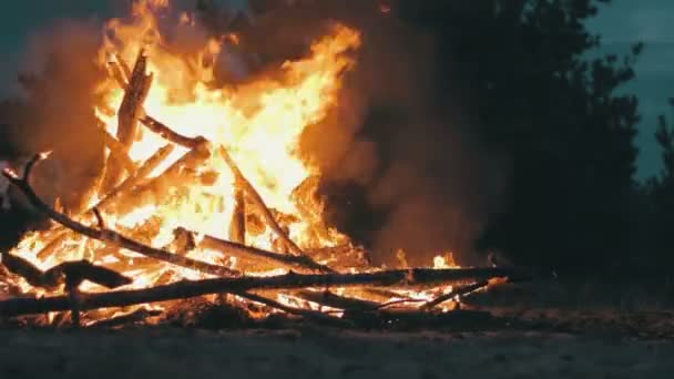 Großes Lagerfeuer aus Ästen brennt nachts im Wald — Stockvideo