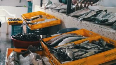 Buz Counter piyasada taze balık