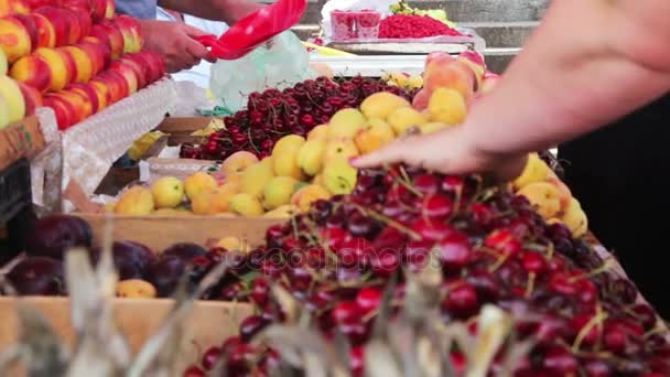 Showcase frukter på marknaden — Stockvideo