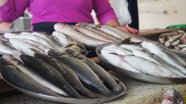 Färsk fisk i isen på Counter marknaden — Stockvideo